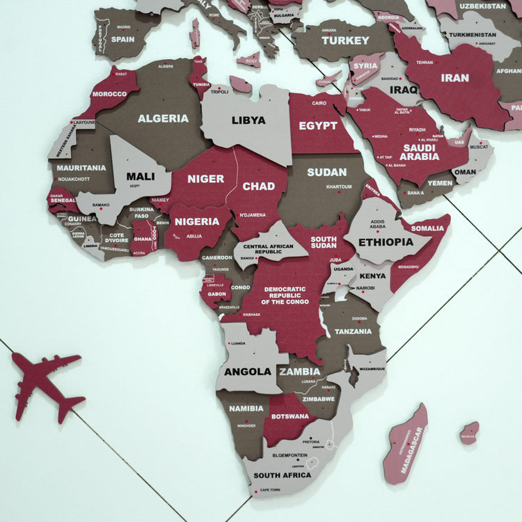 3D Americano Wooden World Map for wall