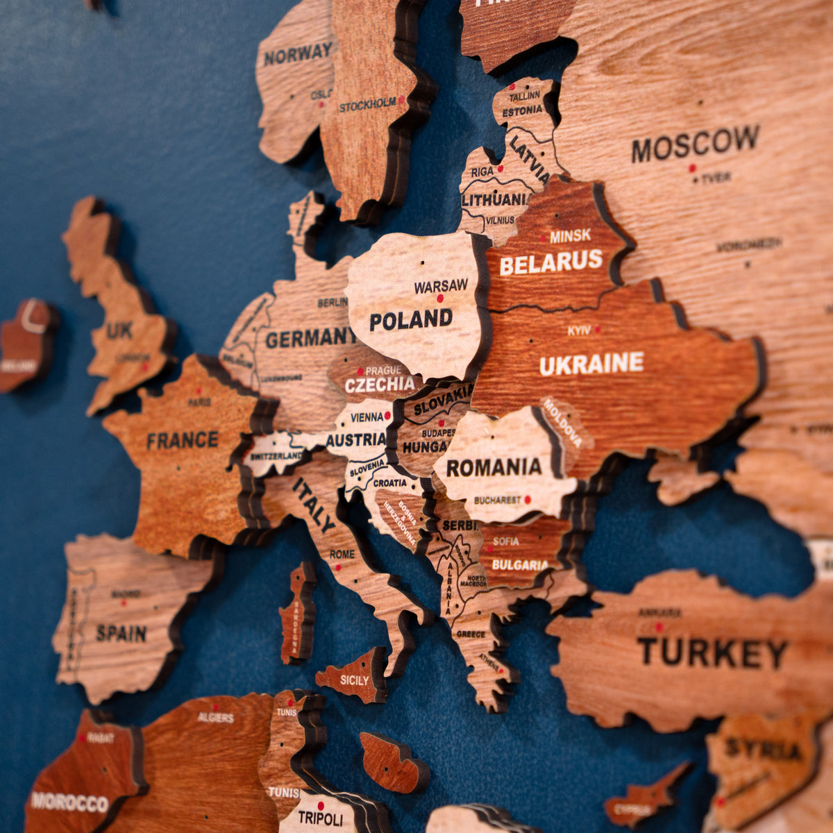 3D Rustic Luxe Wooden World Map