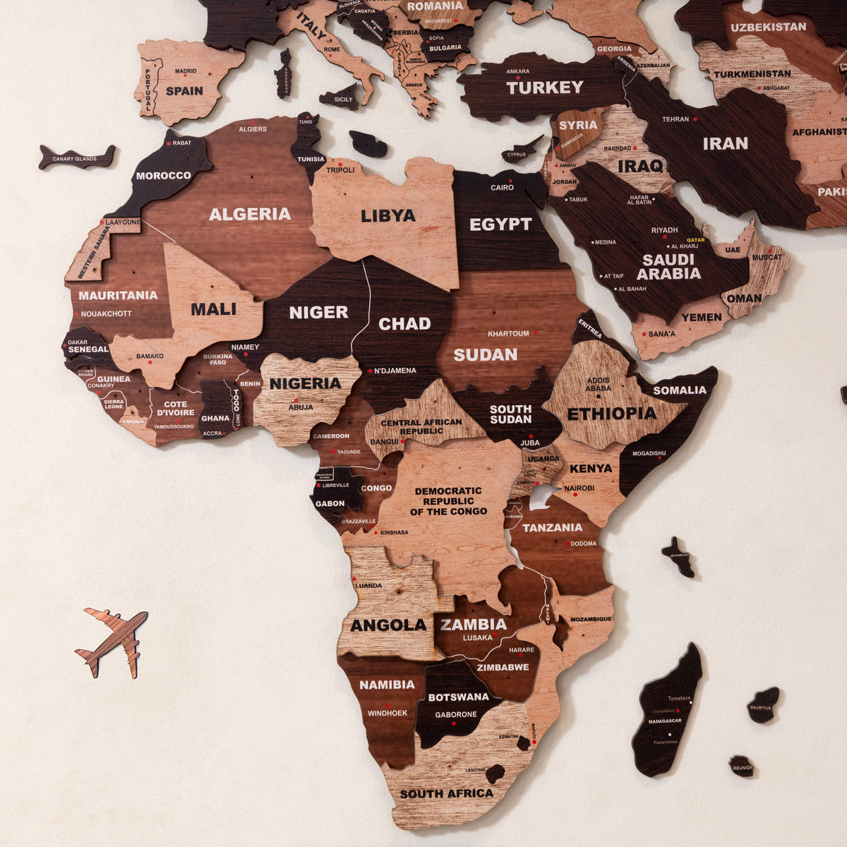 3D Wooden Texture Wooden Worldmap