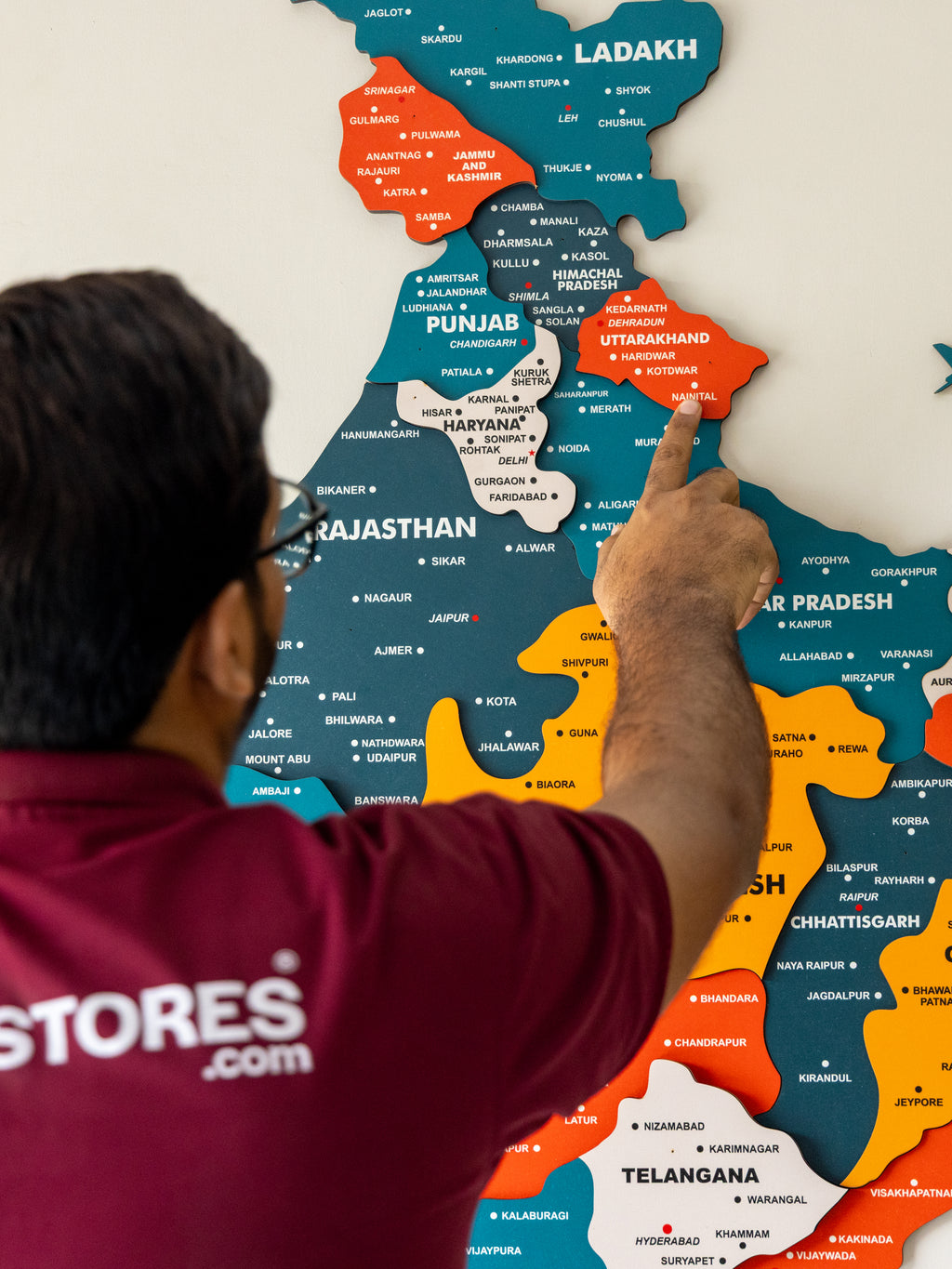 3D Pine India Wooden World Map