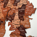 3D Wooden Texture Wooden Gujarat Map