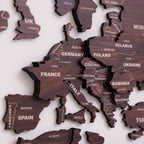 3D Antra Wooden World Map